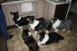 Hoezo honger!!!!!  &raquo; Klik om in te zoomen ->
