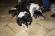 Inga en Flame  &raquo; Klik om in te zoomen ->