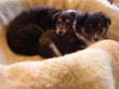 INGA en KESSY  &raquo; Klik om in te zoomen ->