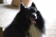 LOEBAS  &raquo; Klik om in te zoomen ->