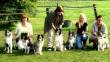 Nestreunie Flame x Drumcauchli Briard  &raquo; Klik om in te zoomen ->