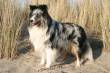 en broer SCOTTY>  &raquo; Klik om in te zoomen ->