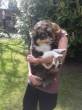 LUCA met het andere baasje  &raquo; Klik om in te zoomen ->