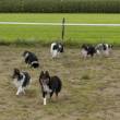 5 van de 6  &raquo; Klik om in te zoomen ->