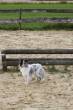 FIONA  &raquo; Klik om in te zoomen ->