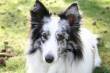 KAYLI  &raquo; Klik om in te zoomen ->