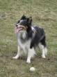 BANDIT  &raquo; Klik om in te zoomen ->