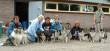Nakomelingen van Maggy  in Laren.  &raquo; Klik om in te zoomen ->