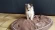 Twinkle  &raquo; Klik om in te zoomen ->