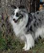 MAYA, trotse moeder van....  &raquo; Klik om in te zoomen ->