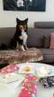 Myla Jarig...  &raquo; Klik om in te zoomen ->