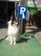 FIONA op vakantie  &raquo; Klik om in te zoomen ->